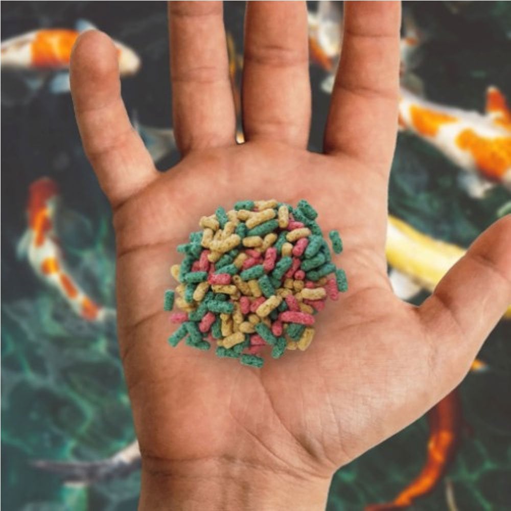 Multi Stick Fish Food