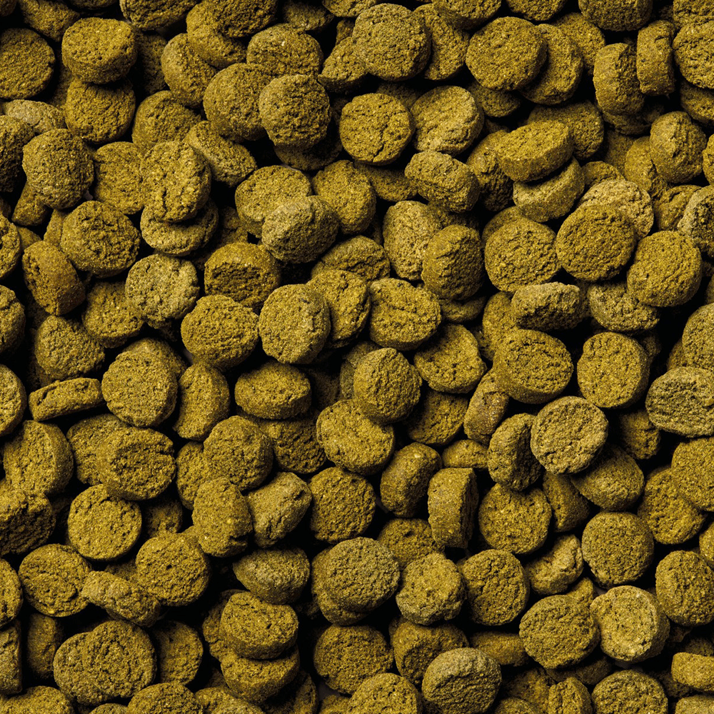 ORGANIX Daily Tabs