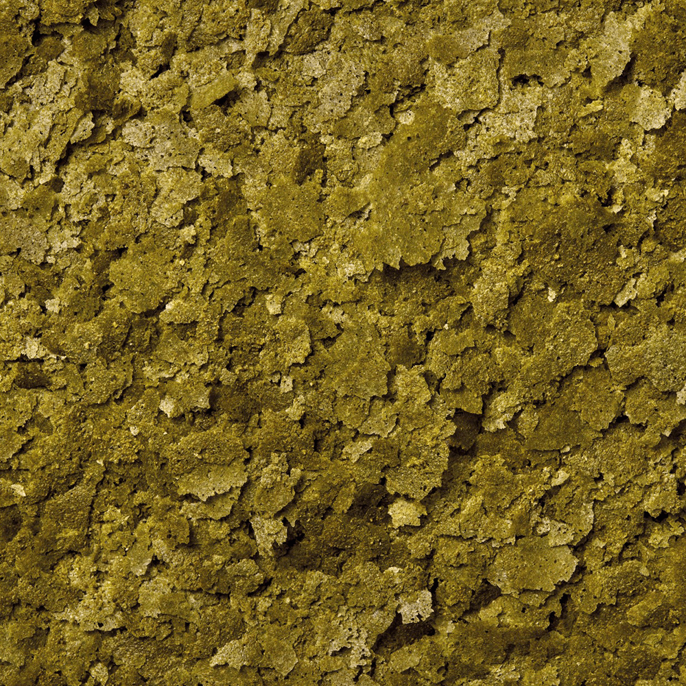 ORGANIX Veggievore Flakes