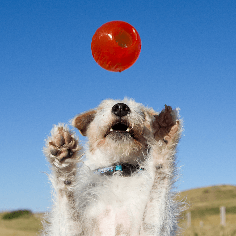 Ball - Large (8.2cm)