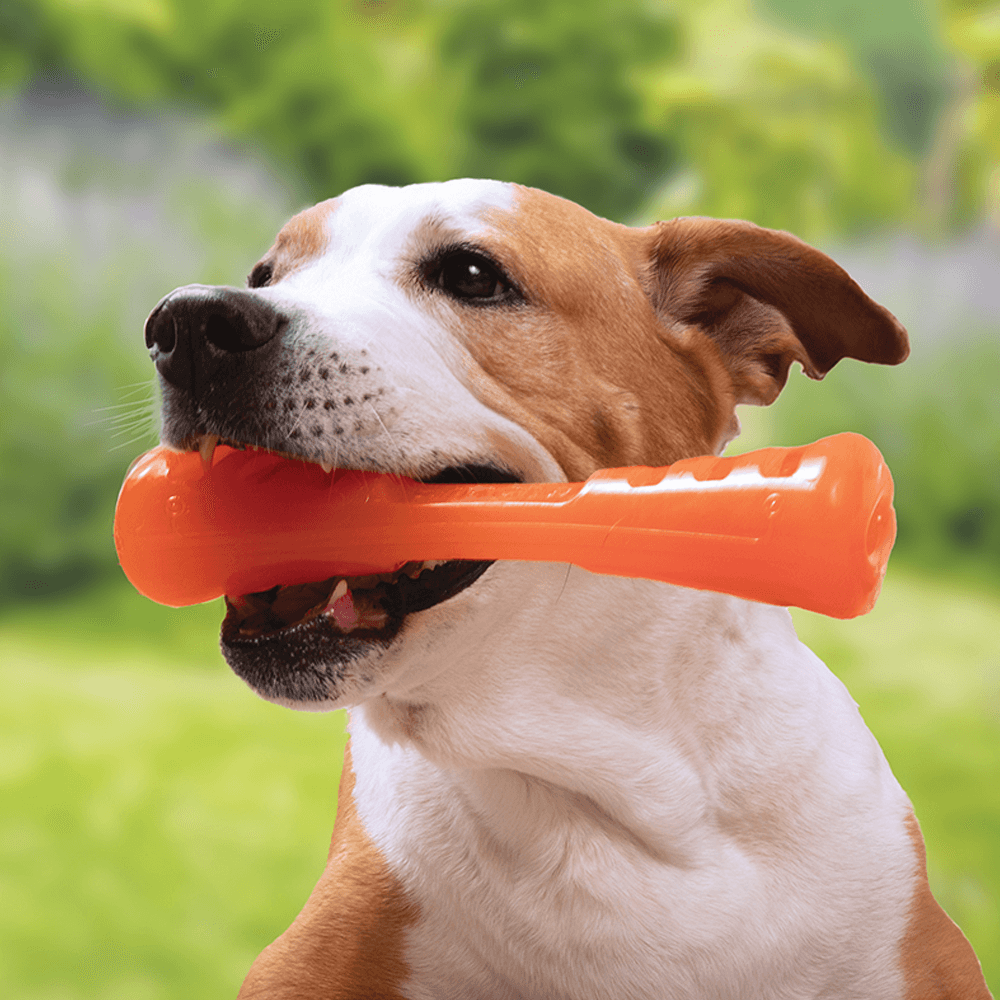 Urban Stick - Large (26cm)