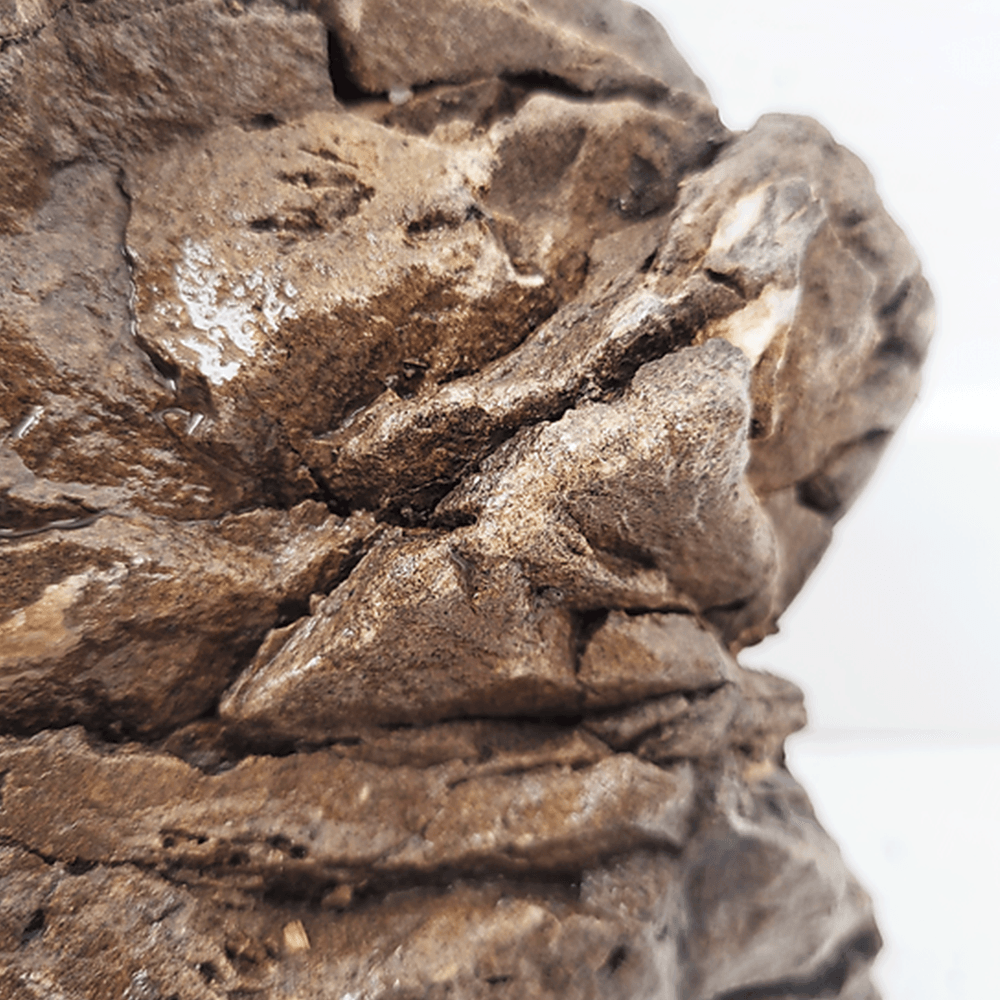 Elderly Stone Mega Box Set 22kg