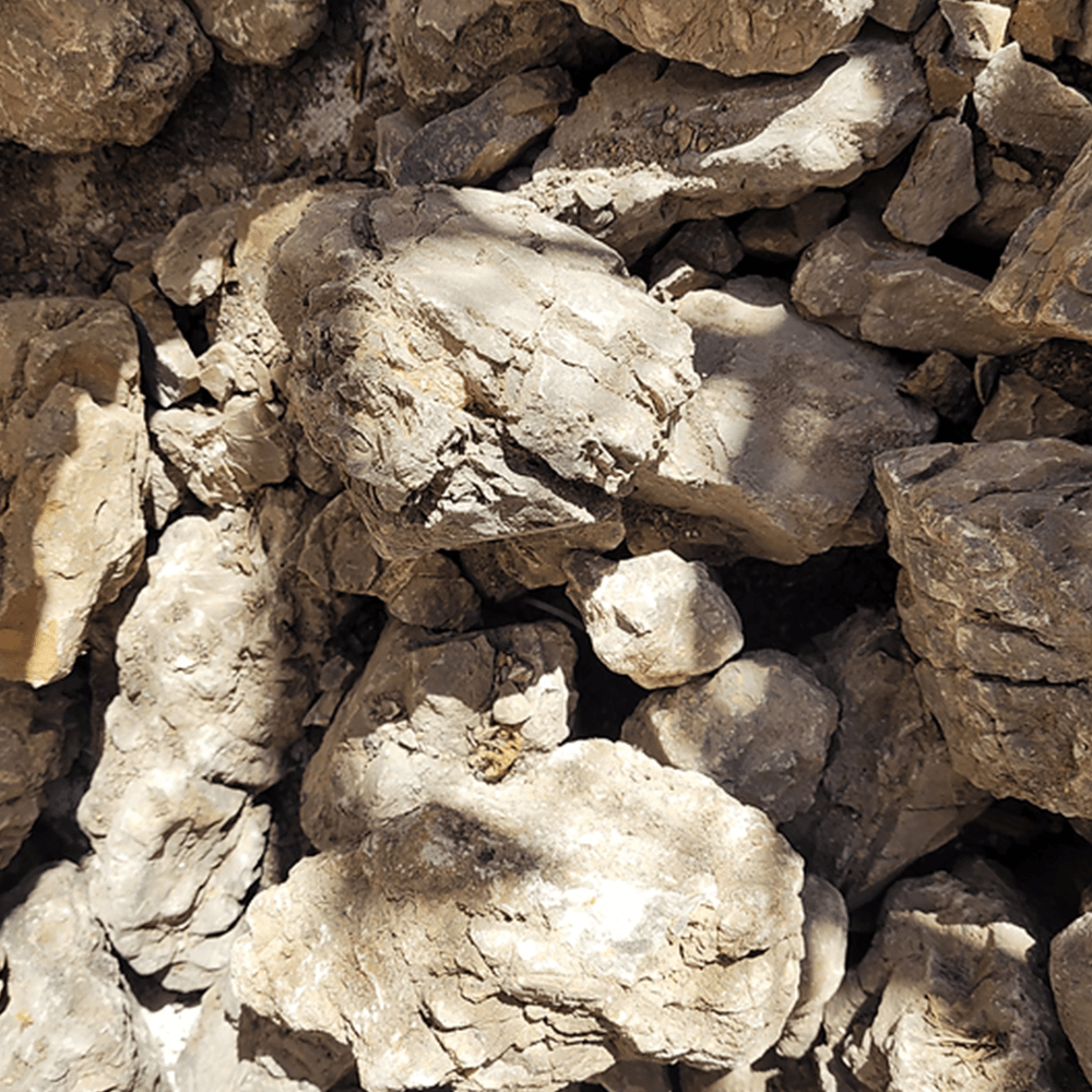 Elderly Stone Mega Box Set 22kg
