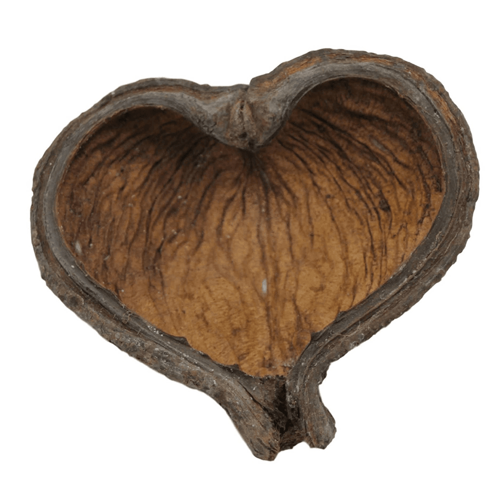 Thelambu Pods (1pk)
