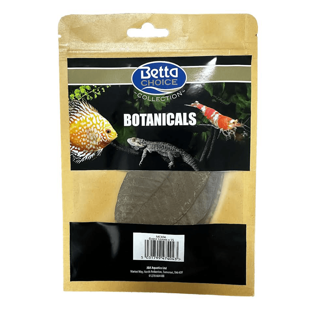 Guava Leaves (15pk)