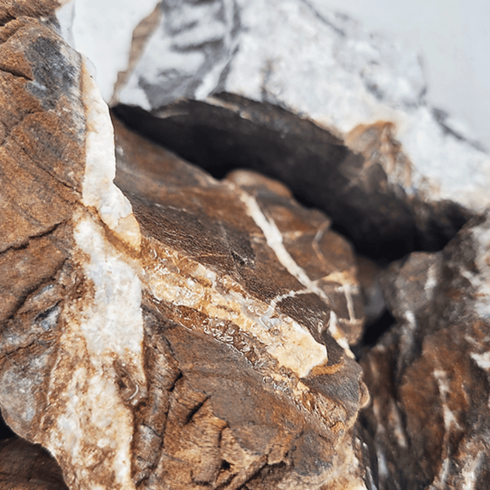 Elderly Nano Rock S 2kg