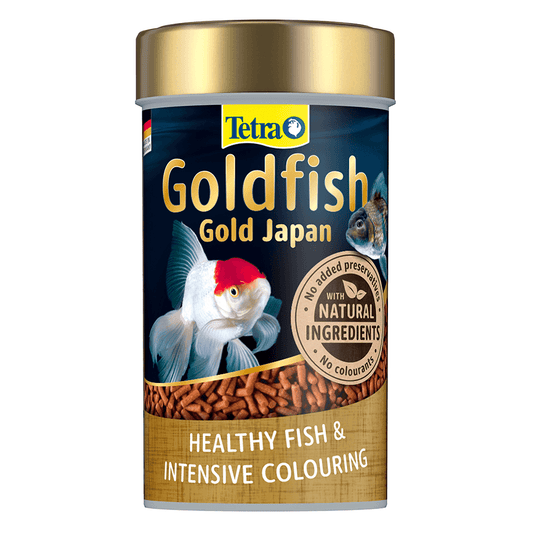 Goldfish Gold Japan
