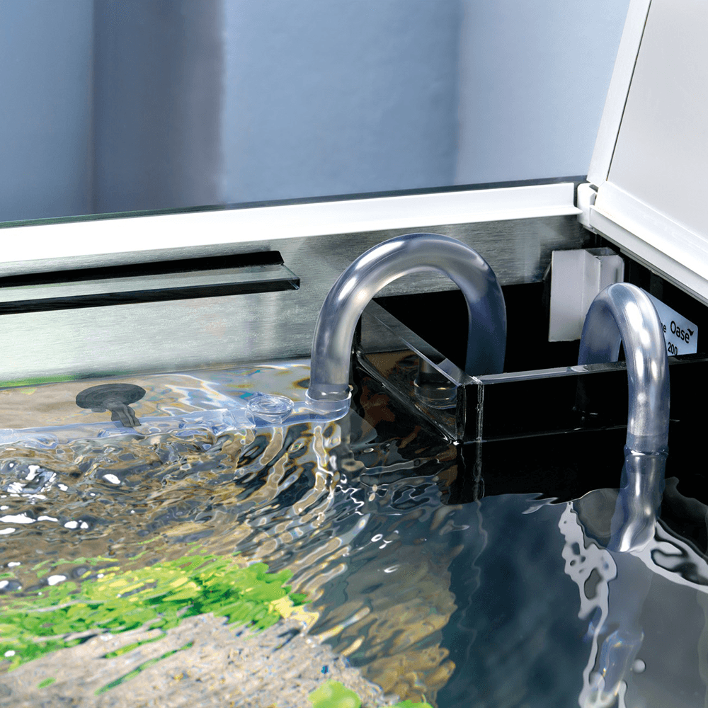 BioMaster² Thermo Filter - Exclusive Black Friday Deals