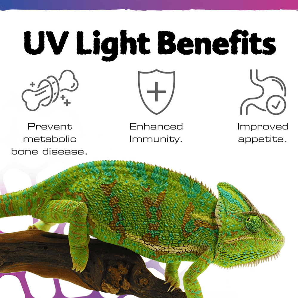 TerraSky UV LED Terrarium Light 10w