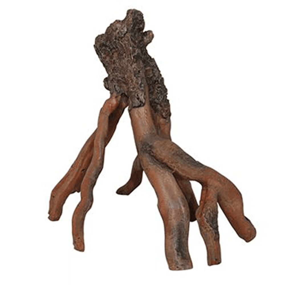 Mangrove Roots - Small