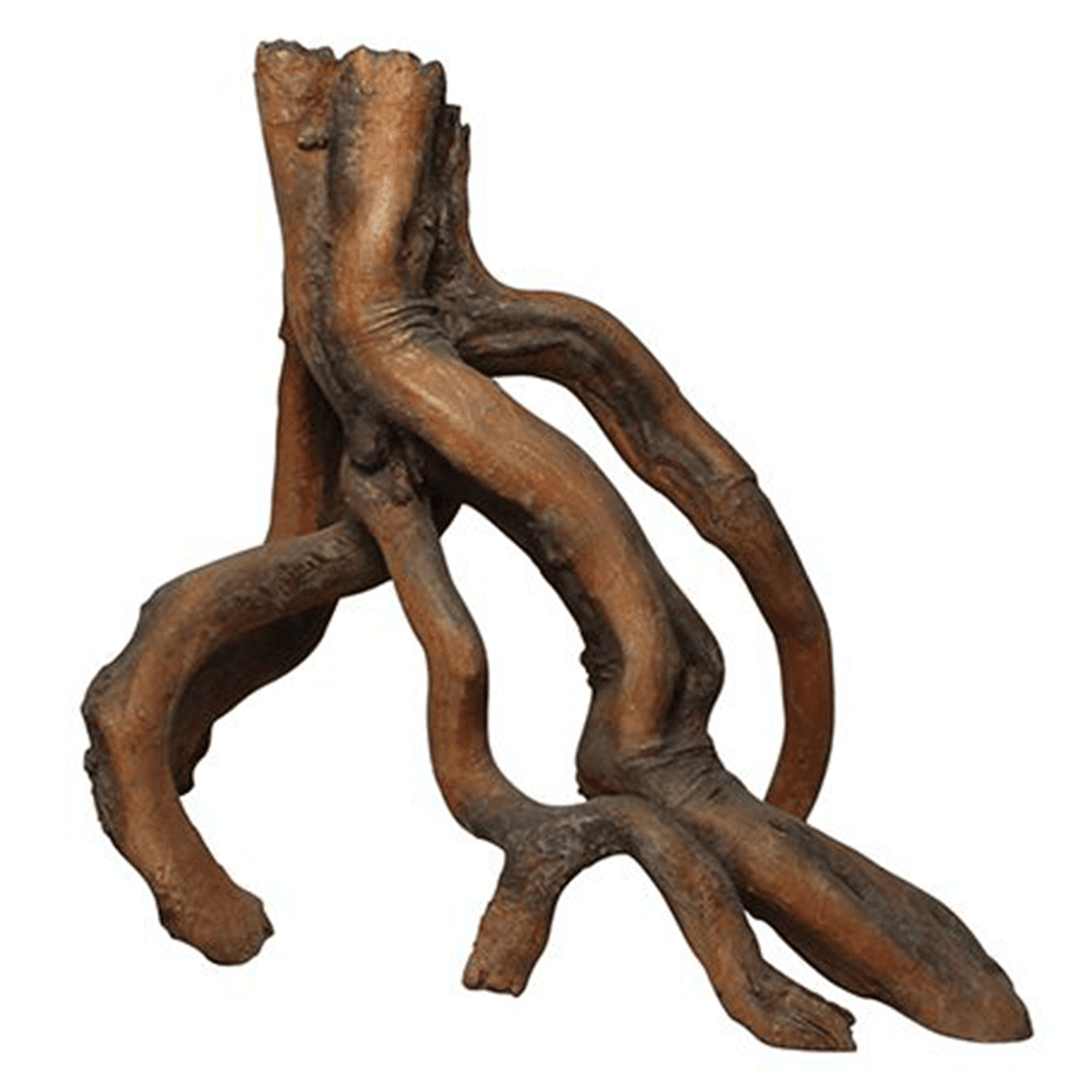 Mangrove Roots - Large