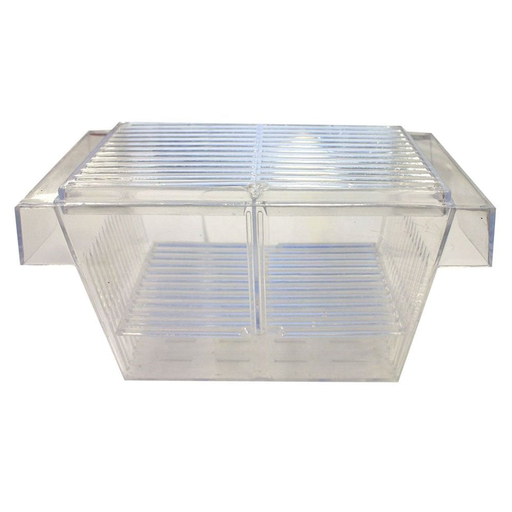 Floating Breeding Trap - Midi