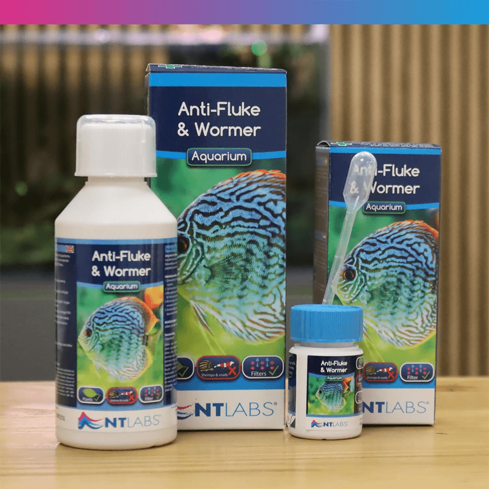 Aquarium Anti Fluke & Wormer