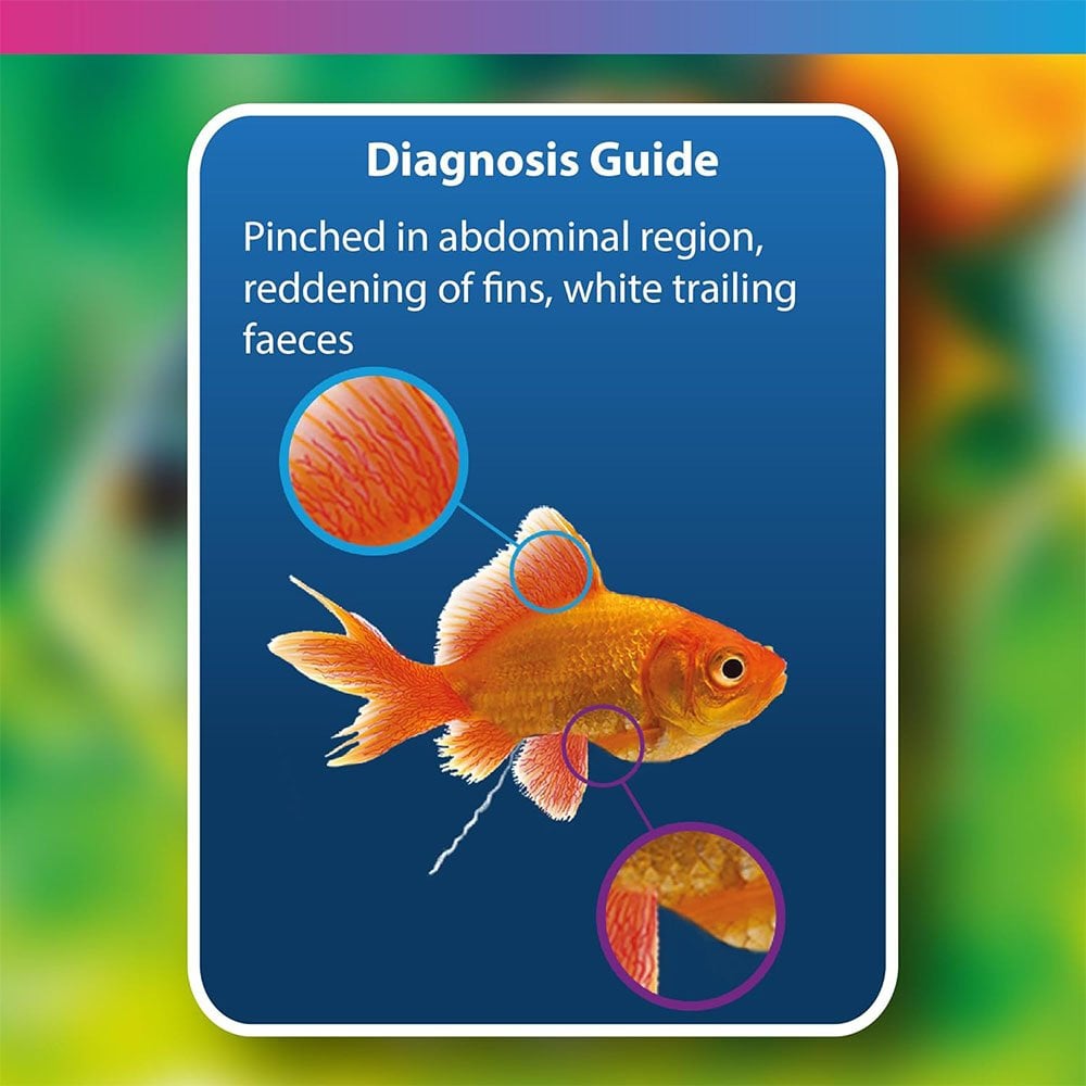 Aquarium Anti Fluke & Wormer