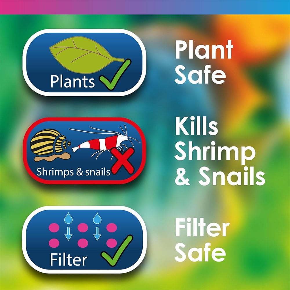 Aquarium Anti Fluke & Wormer