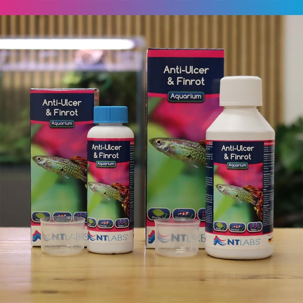 Aquarium Anti-ulcer & Finrot