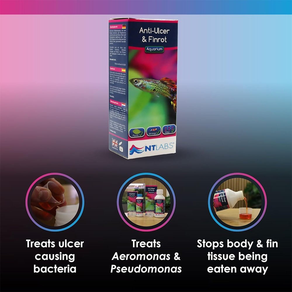 Aquarium Anti-ulcer & Finrot