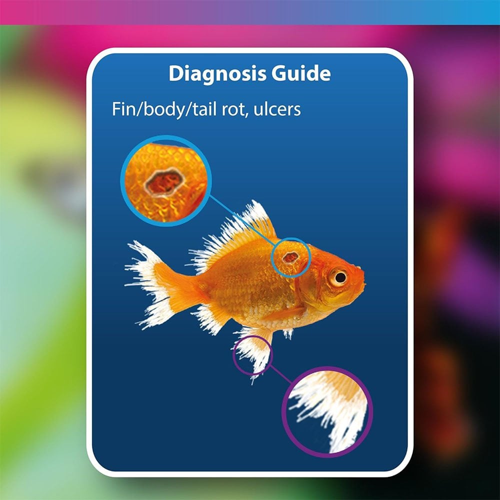 Aquarium Anti-ulcer & Finrot