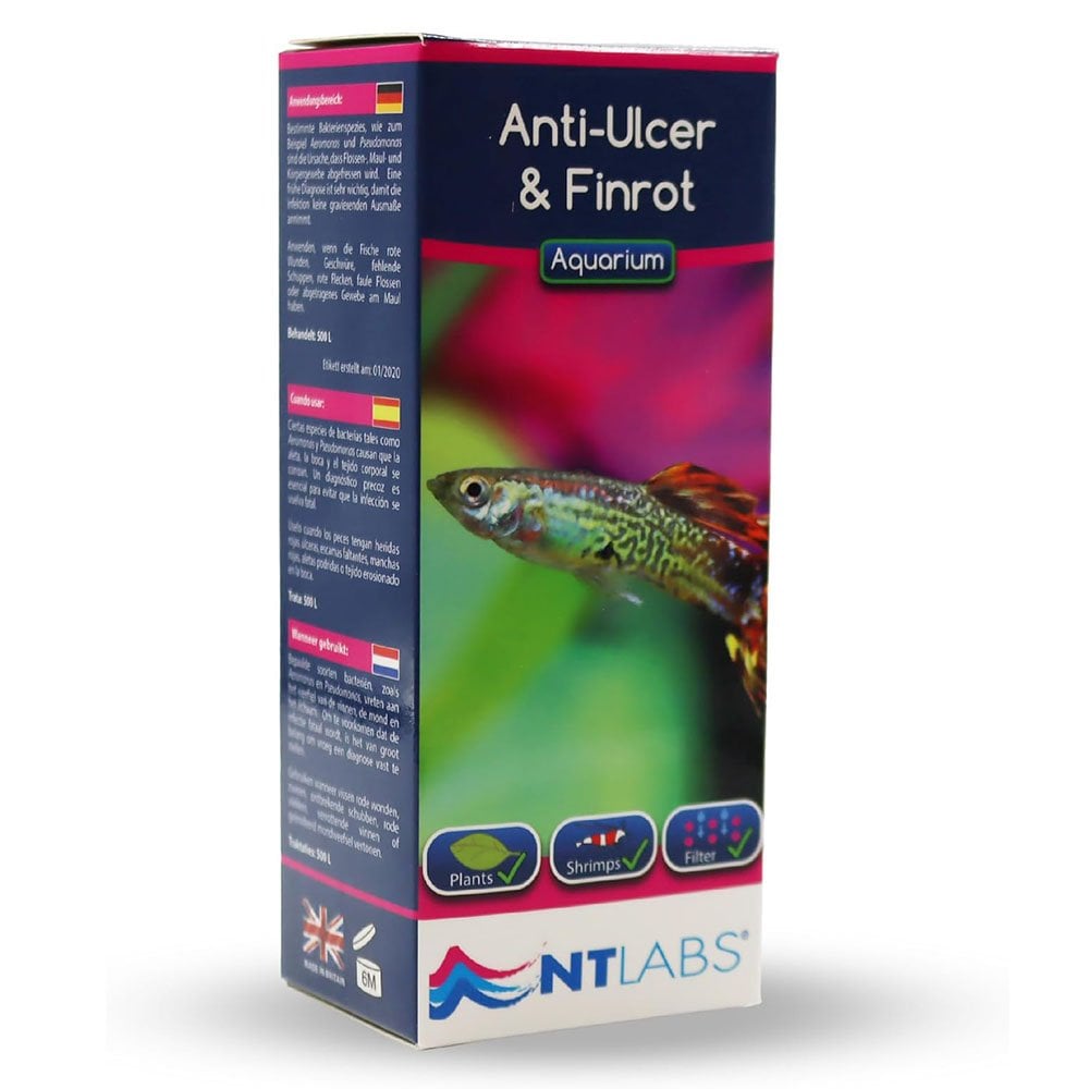 Aquarium Anti-ulcer & Finrot