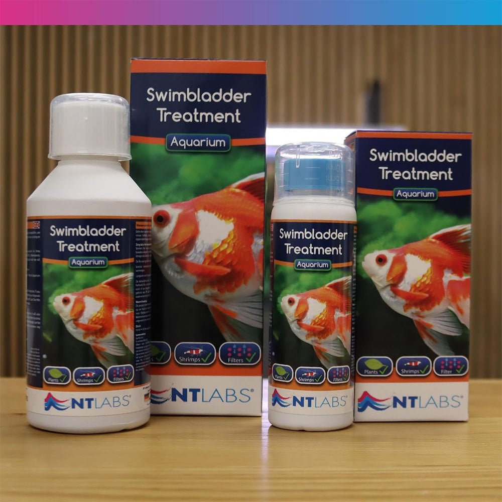Aquarium Swimbladder Treatment