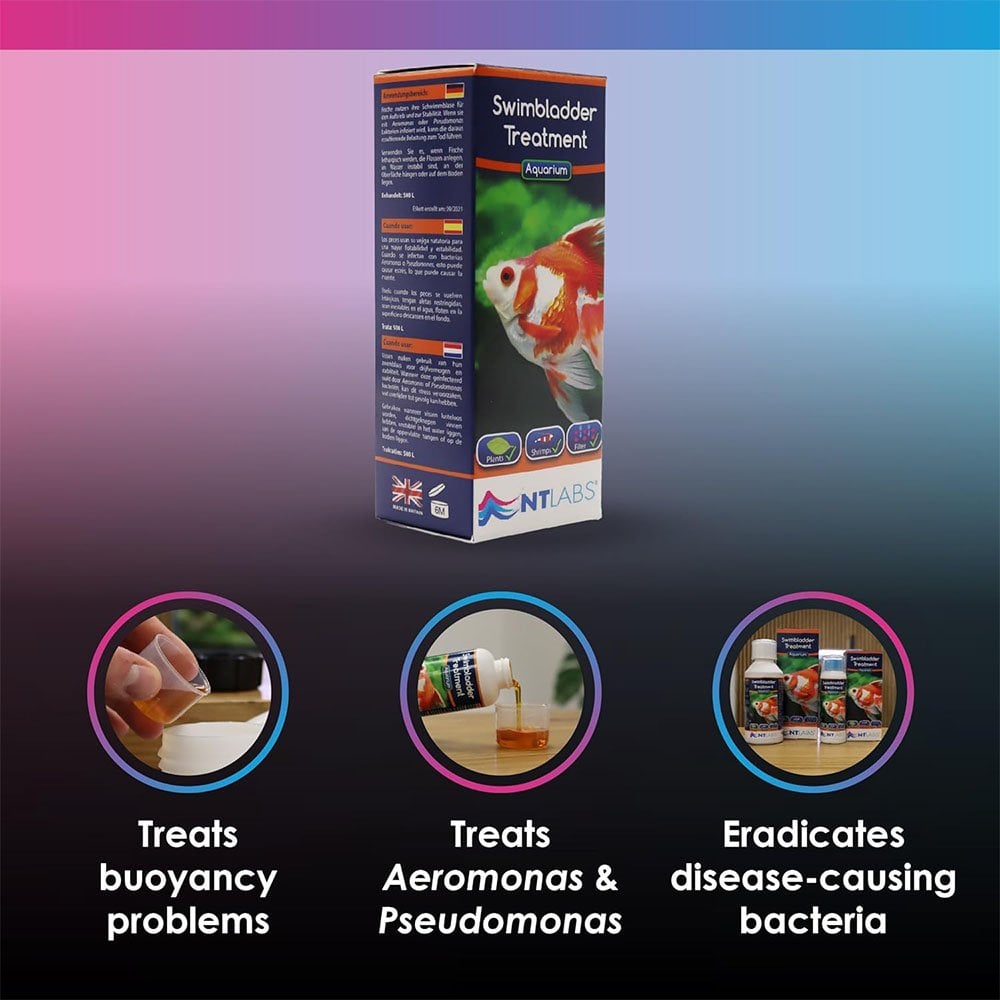 Aquarium Swimbladder Treatment