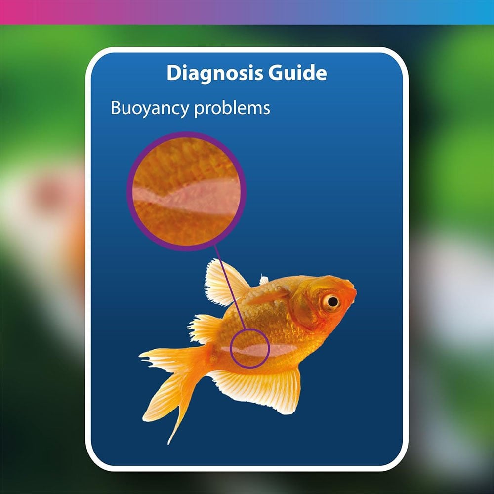 Aquarium Swimbladder Treatment