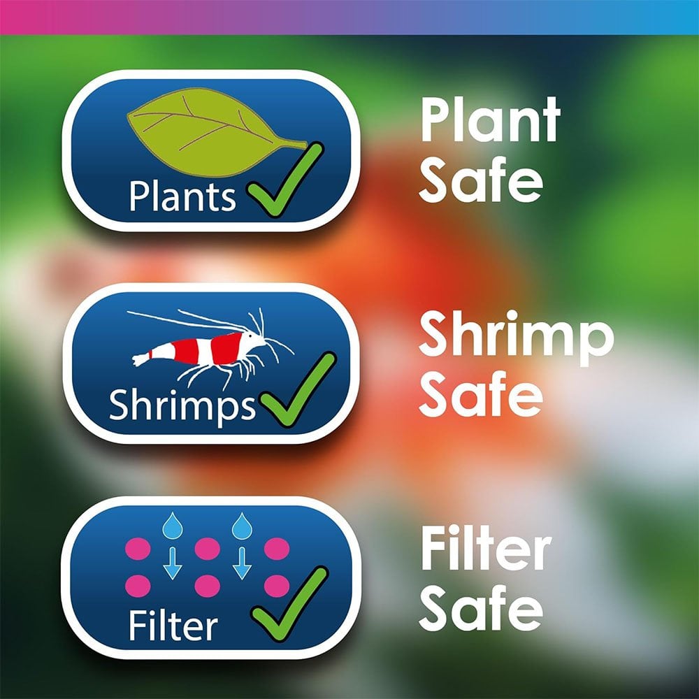 Aquarium Swimbladder Treatment