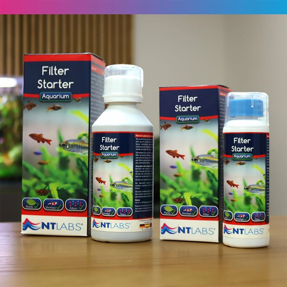 Aquarium Filter Starter