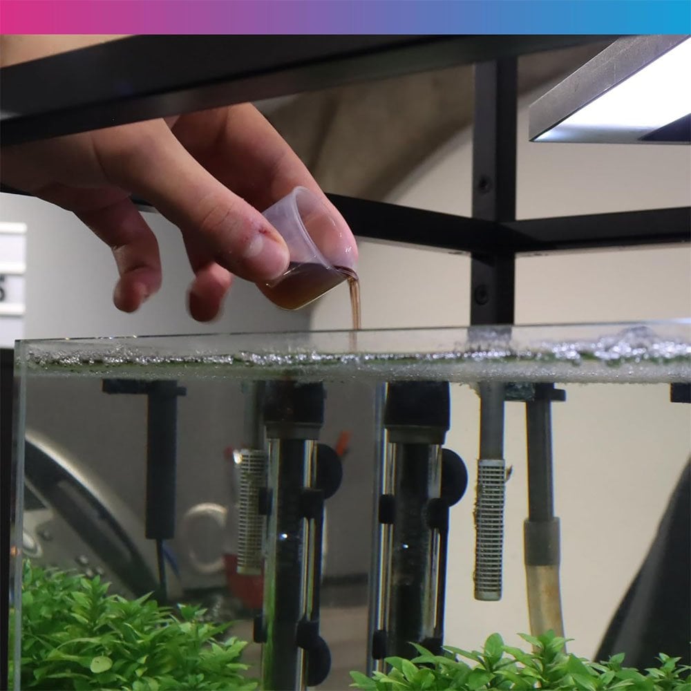 Aquarium Filter Starter