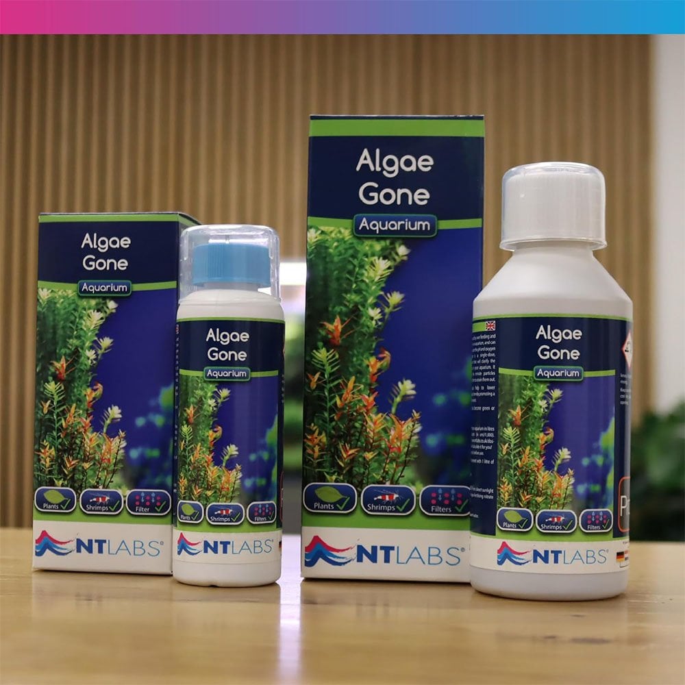 Aquarium Algae Gone