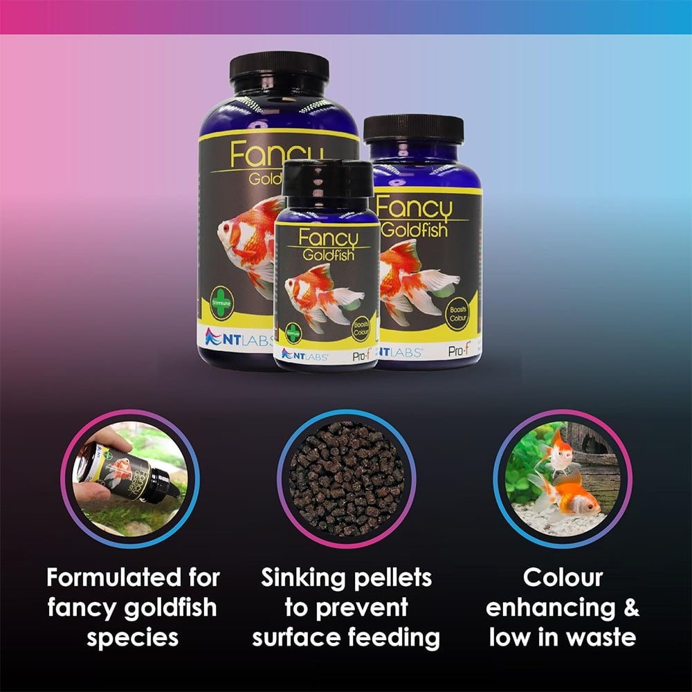 Pro-F Fancy Goldfish