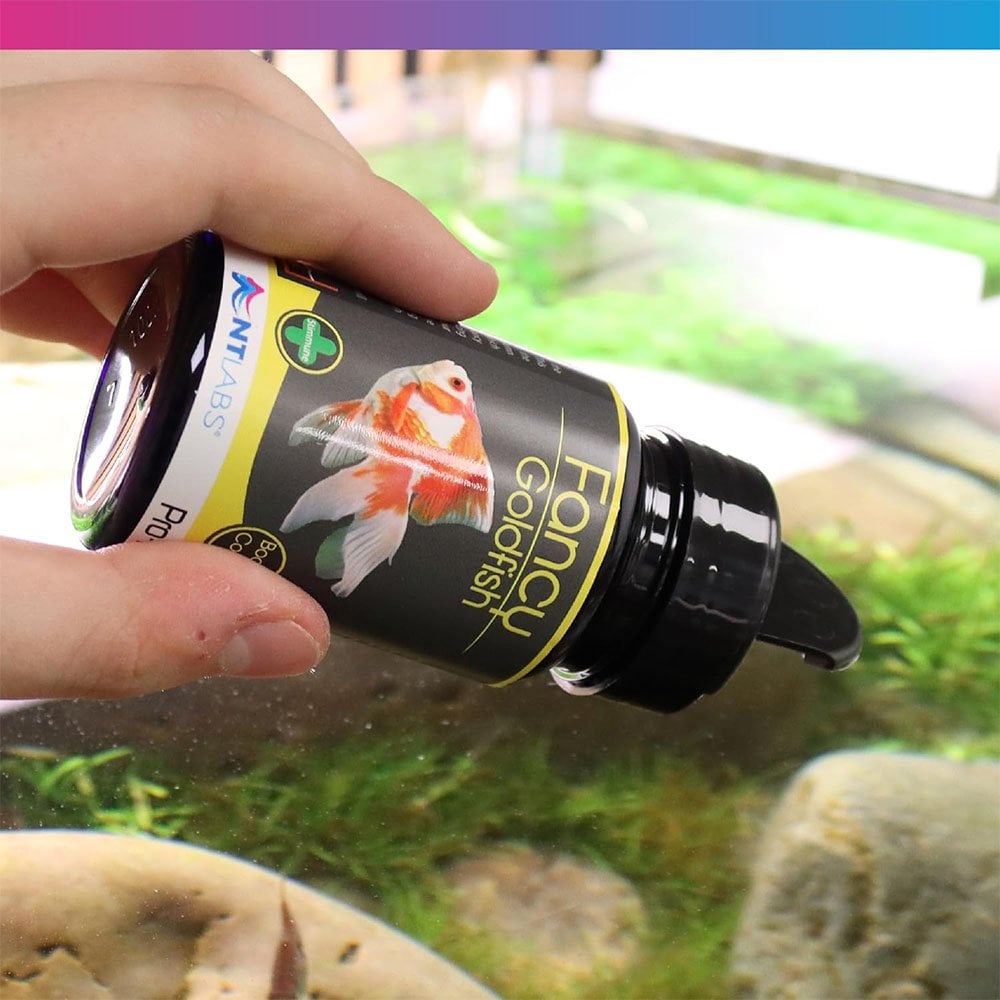 Pro-F Fancy Goldfish