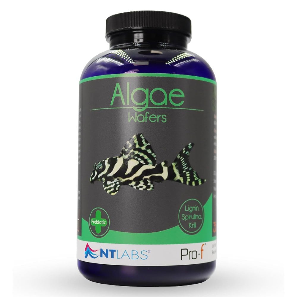 Pro-F Algae Wafers