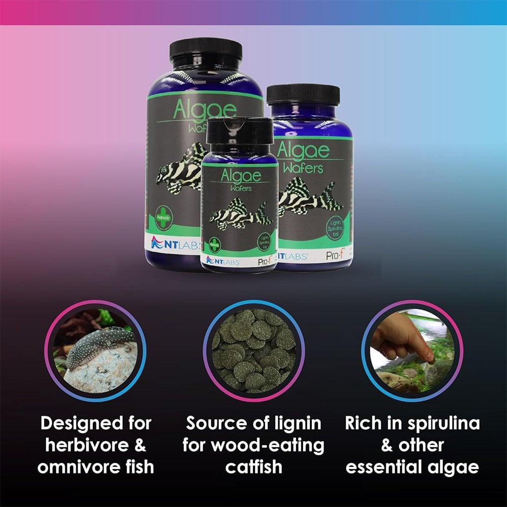 Pro-F Algae Wafers