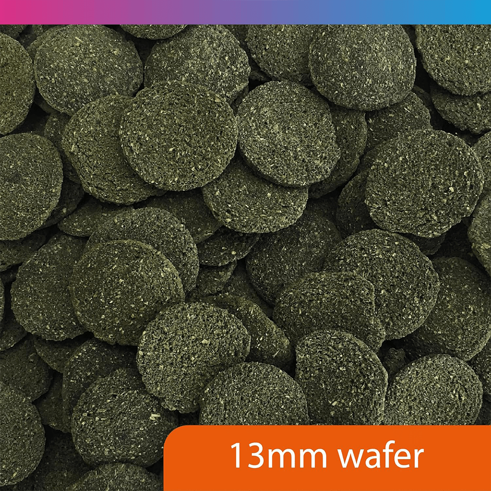 Pro-F Algae Wafers