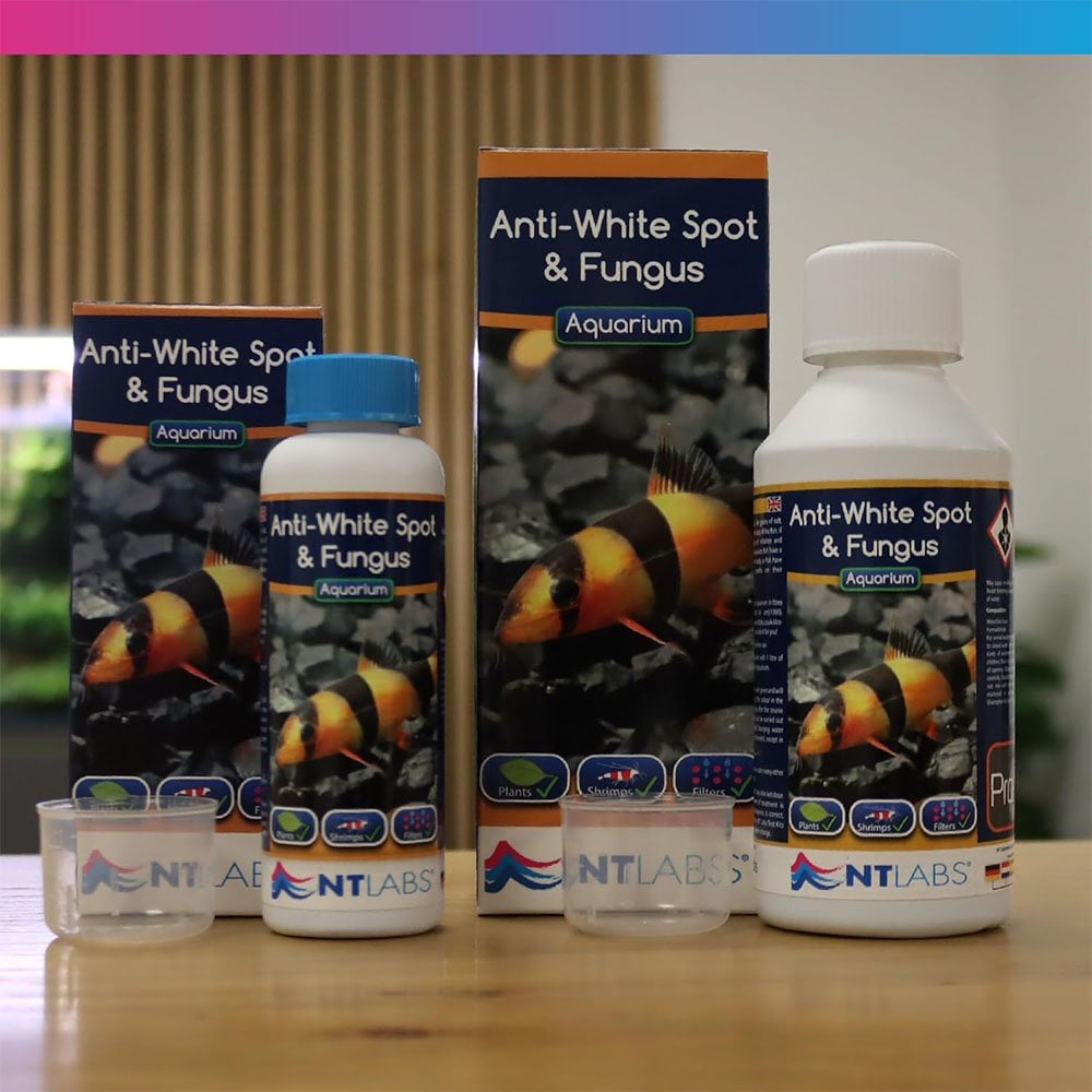 Aquarium Anti White Spot & Fungus