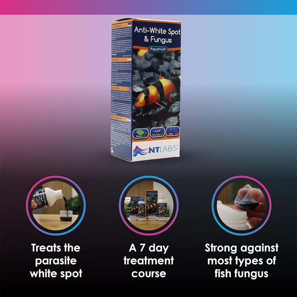 Aquarium Anti White Spot & Fungus