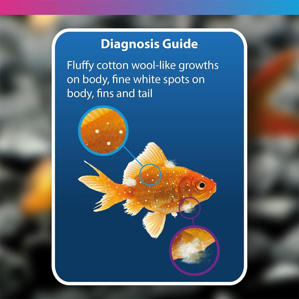 Aquarium Anti White Spot & Fungus