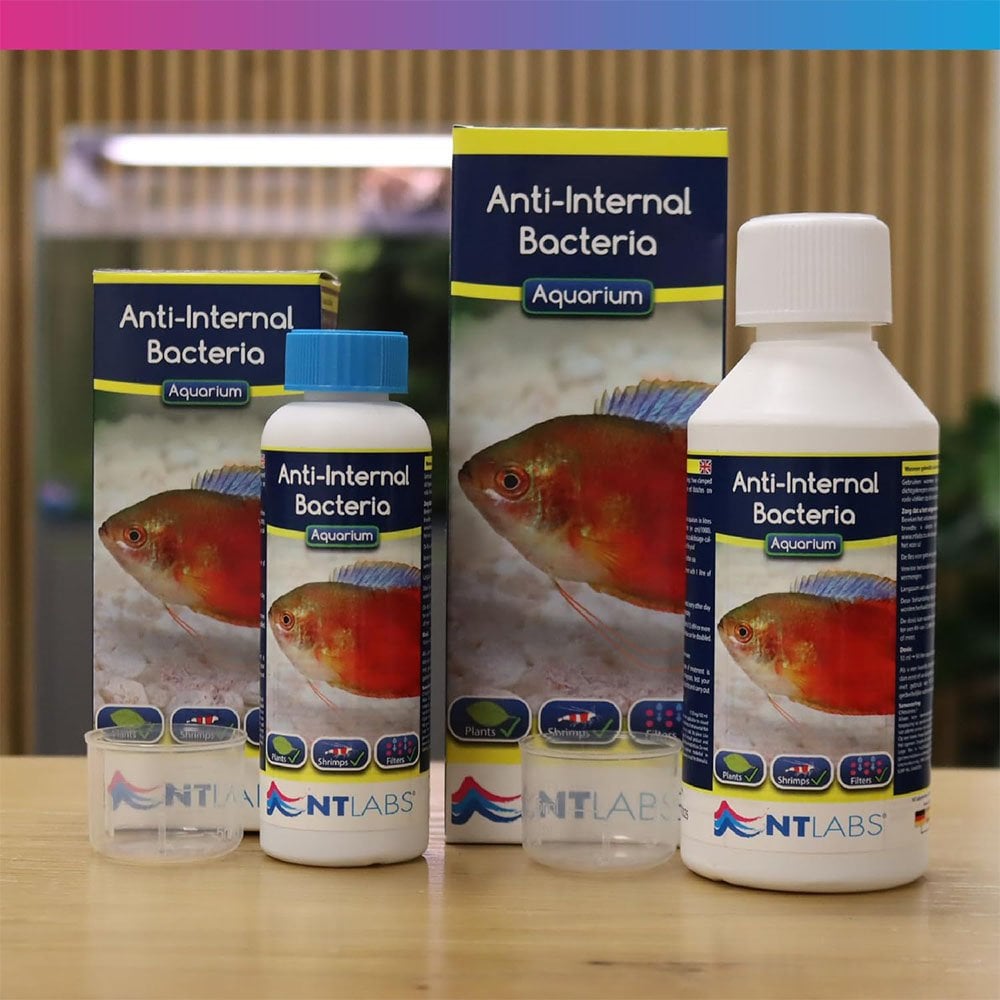 Aquarium Anti-Internal Bacteria 100ml