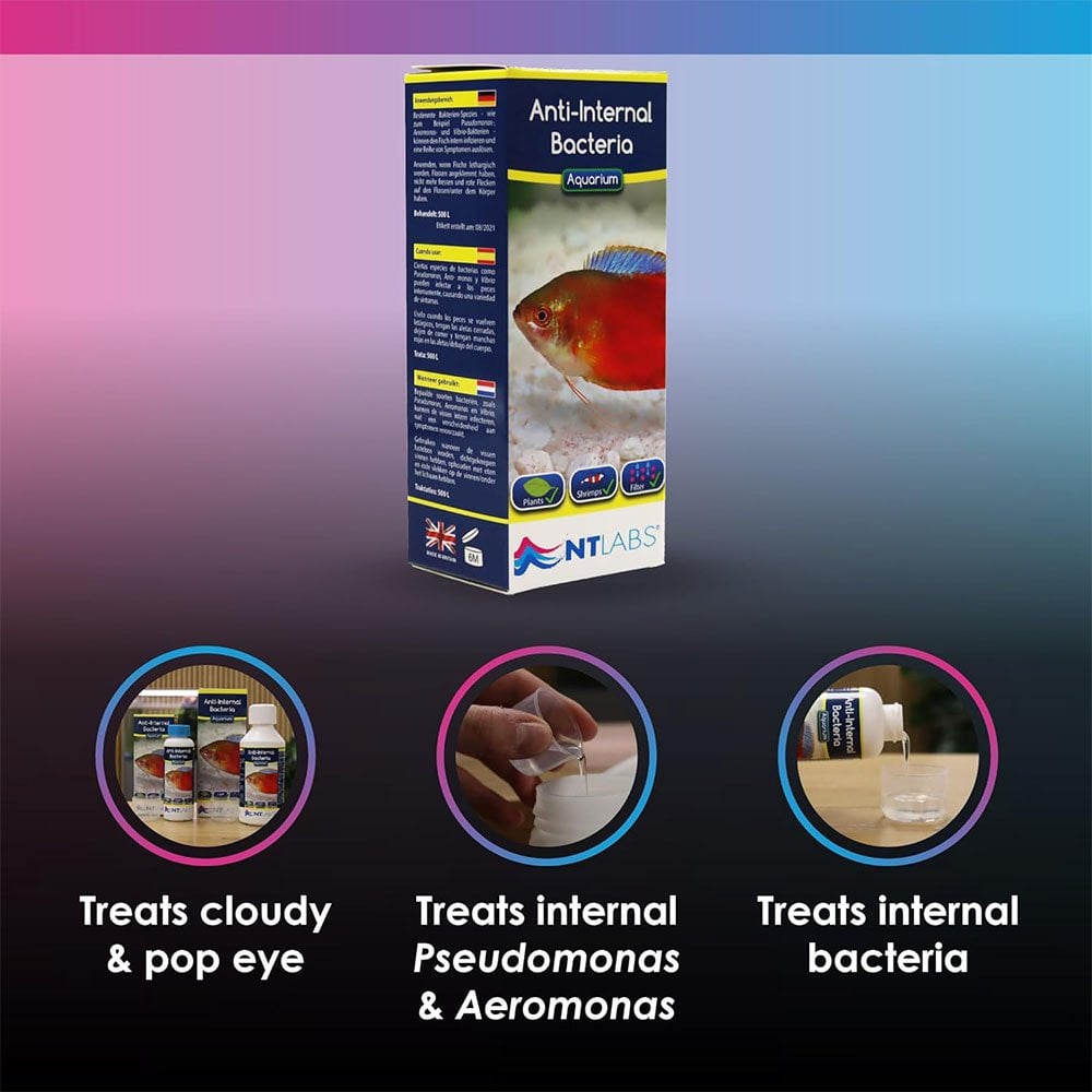 Aquarium Anti-Internal Bacteria 100ml