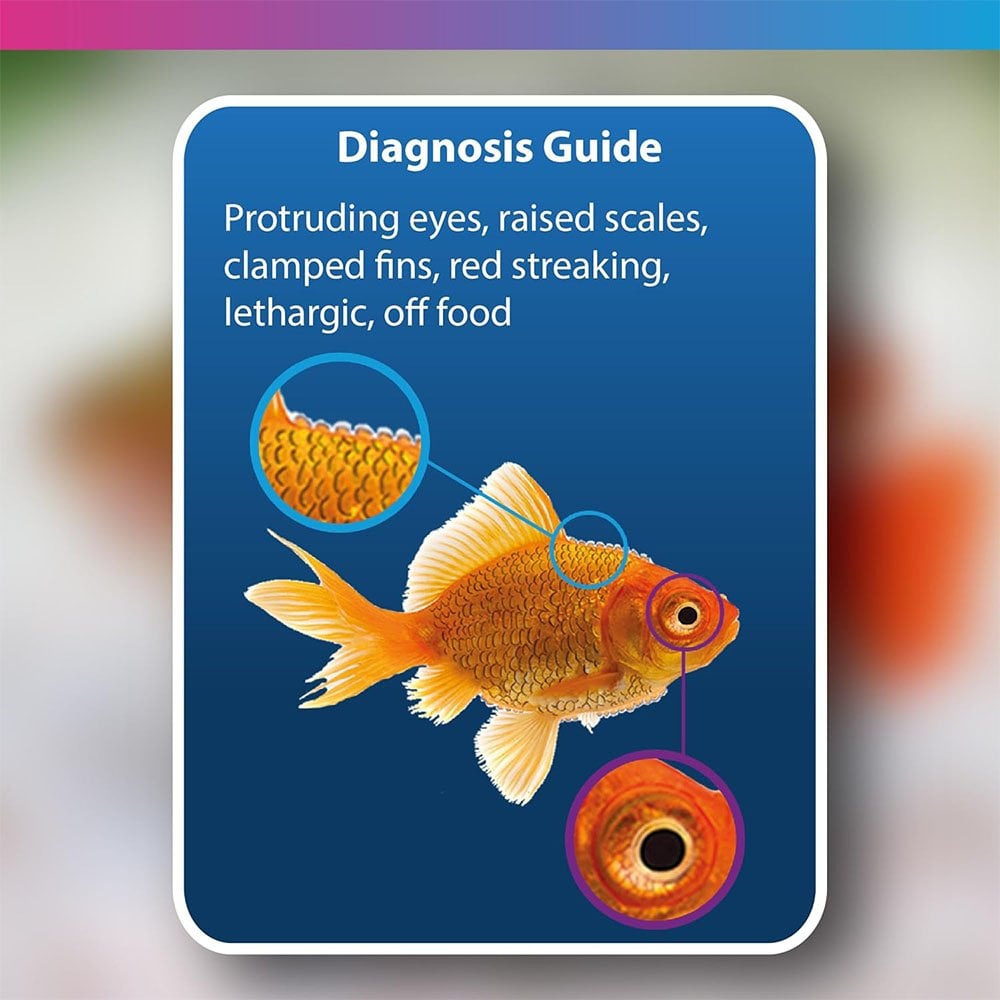 Aquarium Anti-Internal Bacteria 100ml