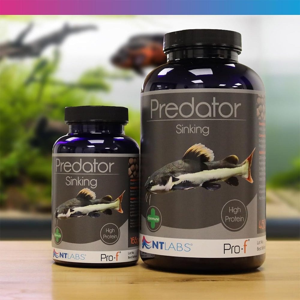 Pro-F Predator Sinking