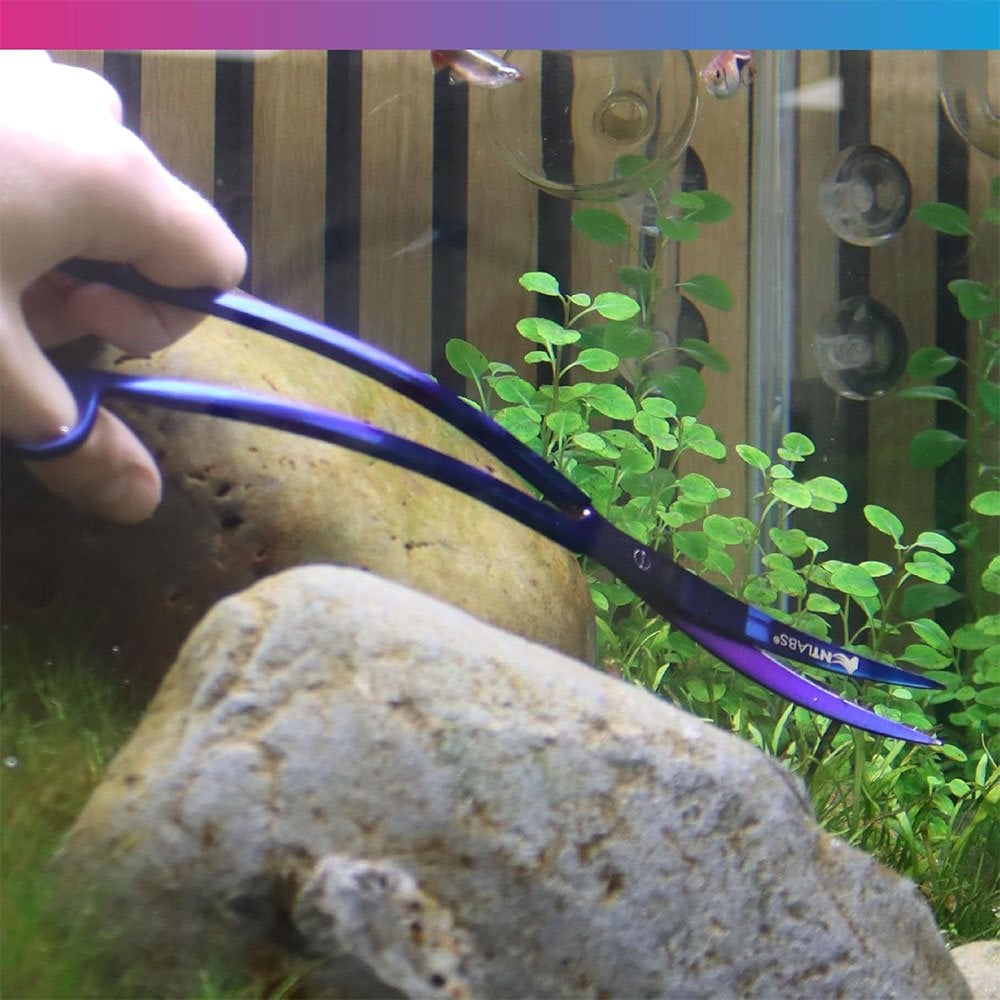 ProCare Aquascaping Tools - Wave Scissors 25cm