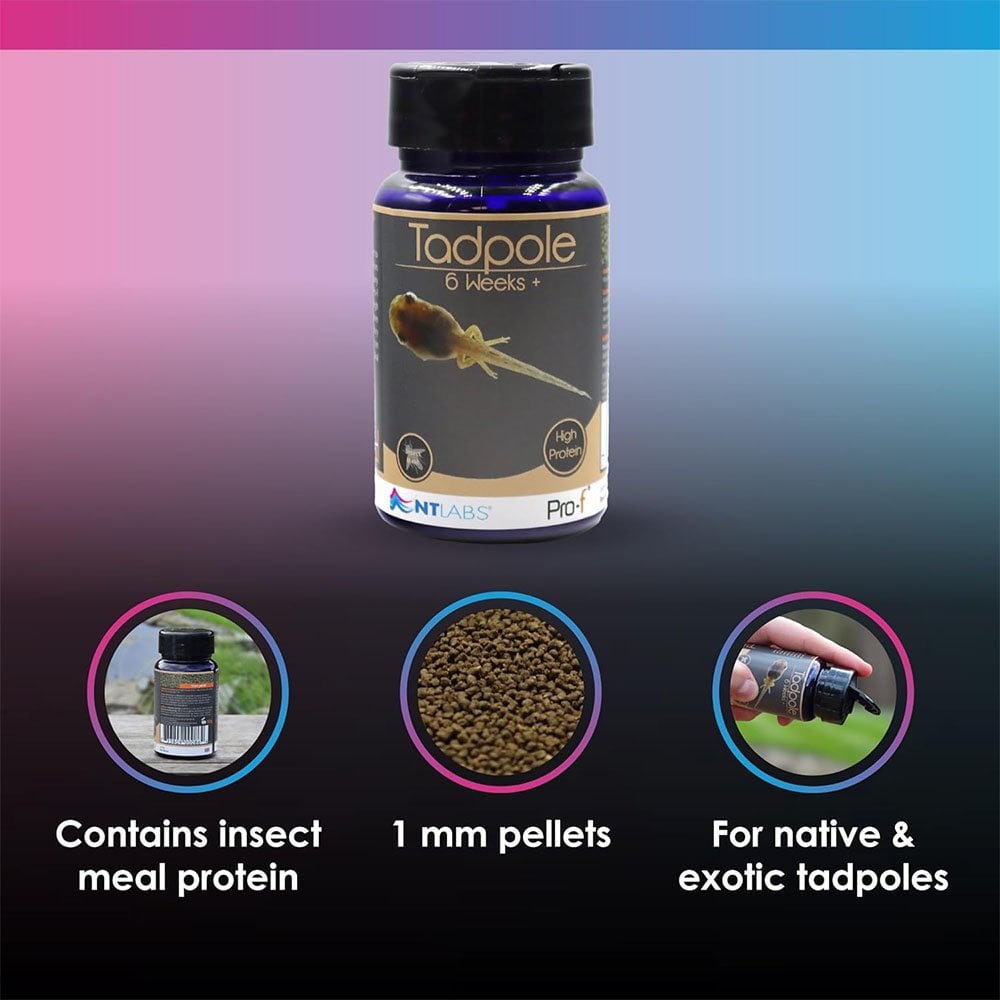 Pro-F Tadpole Food 6 Weeks+