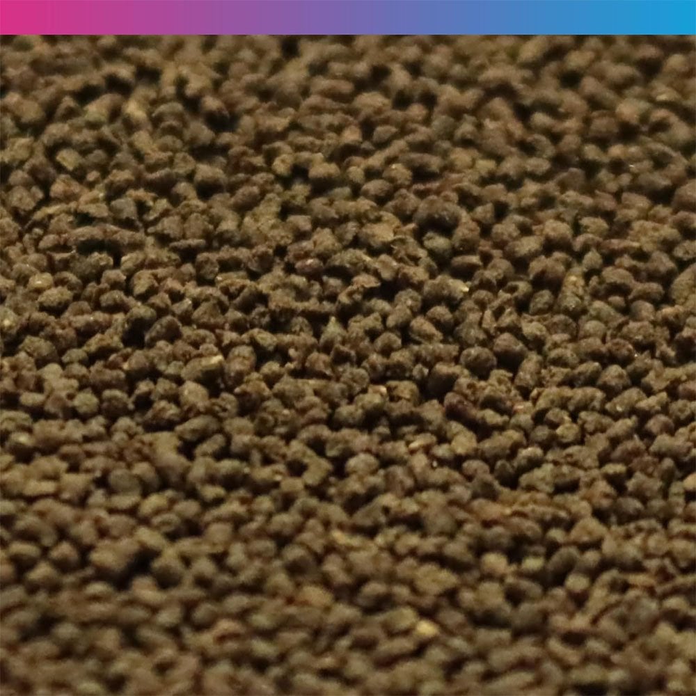 Pro-F Tadpole Food 6 Weeks+