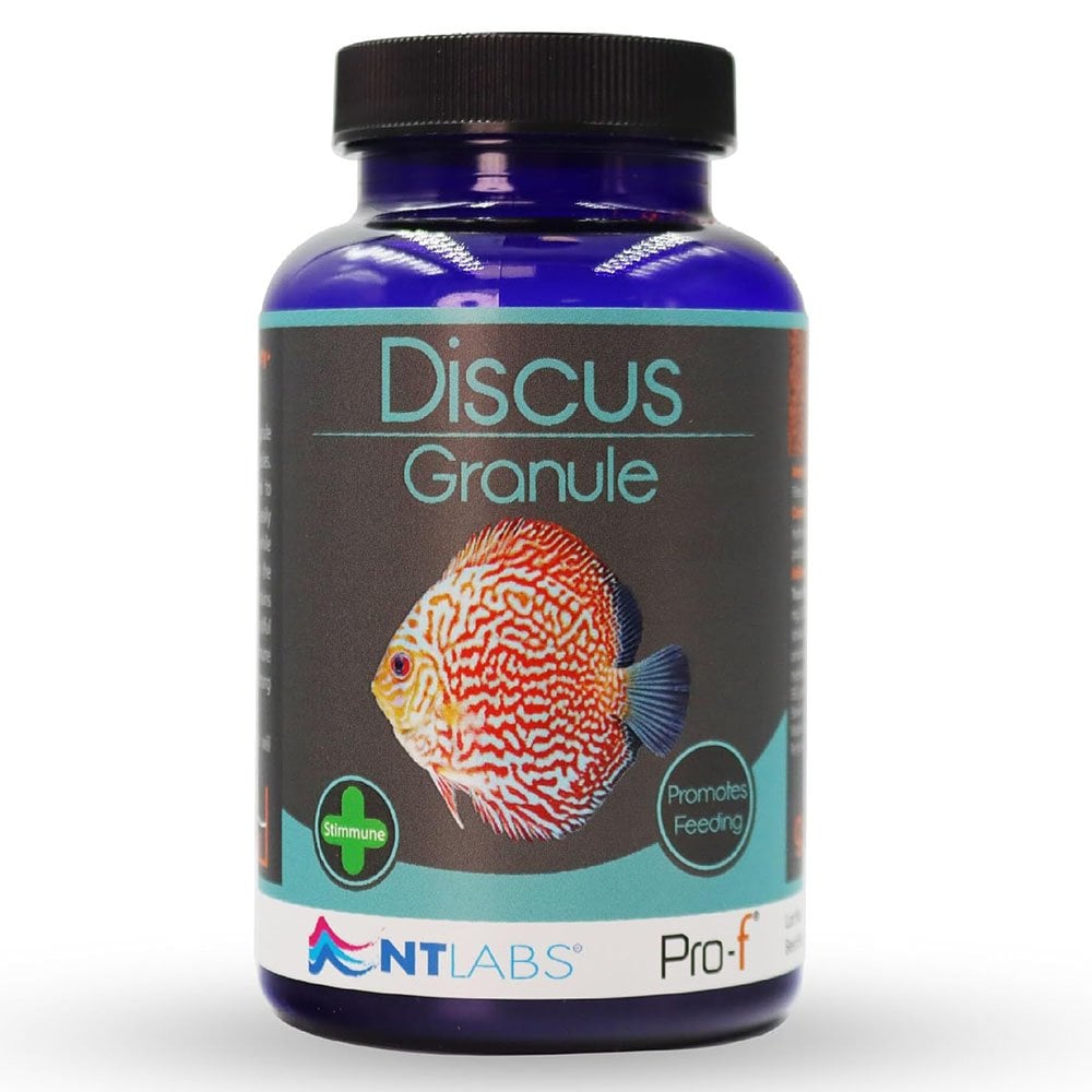 Discus Diet for Fry: Ultimate Guide to Healthy Growth