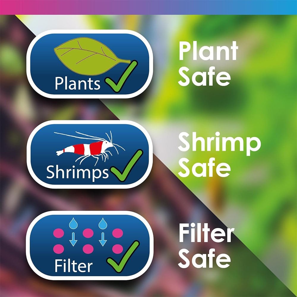 Aquarium Starter Kit