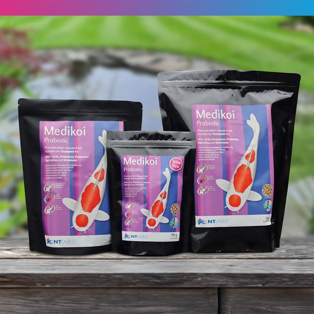 Medikoi Probiotic