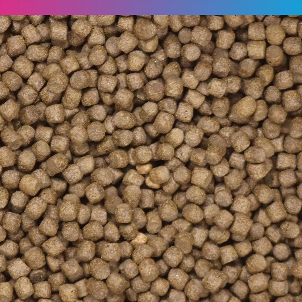 EconoKoi Pond Pellets 10kg (6mm)