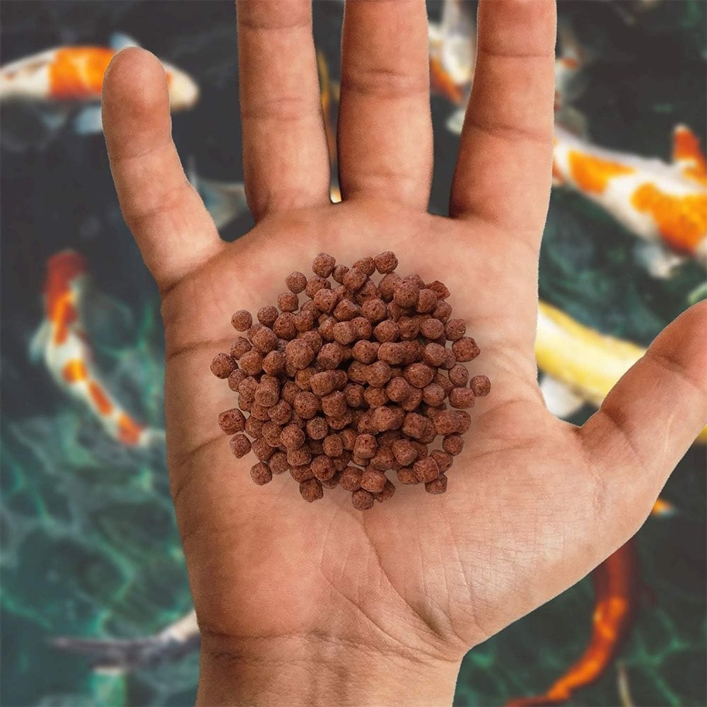 Growth Fish Food